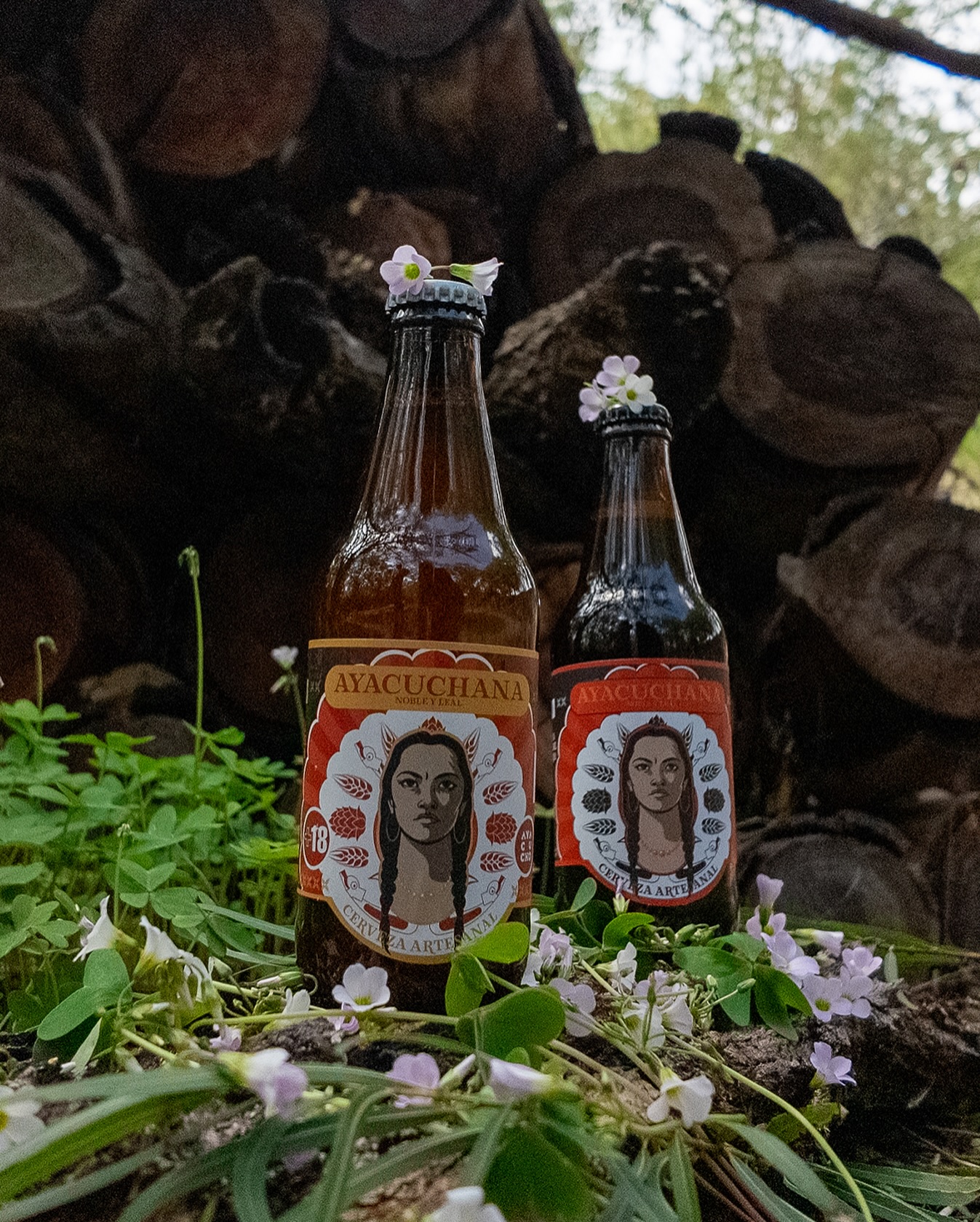 Botellas de Cerveza Ayacuchana en el campo
